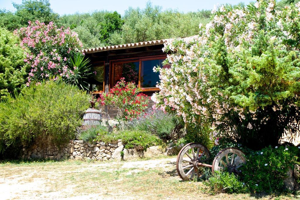 Agriturismo Sardo Villa Campavaglio Екстериор снимка