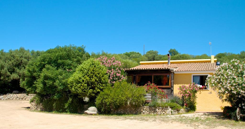 Agriturismo Sardo Villa Campavaglio Екстериор снимка