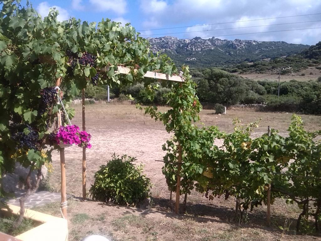 Agriturismo Sardo Villa Campavaglio Екстериор снимка
