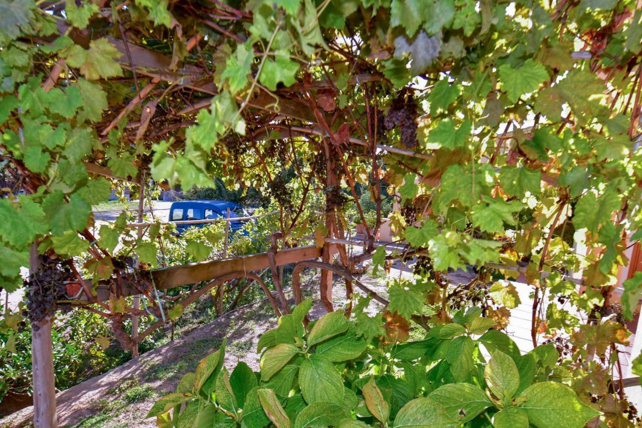 Agriturismo Sardo Villa Campavaglio Екстериор снимка