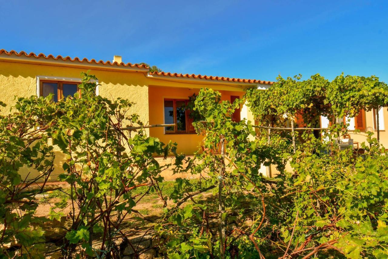 Agriturismo Sardo Villa Campavaglio Екстериор снимка